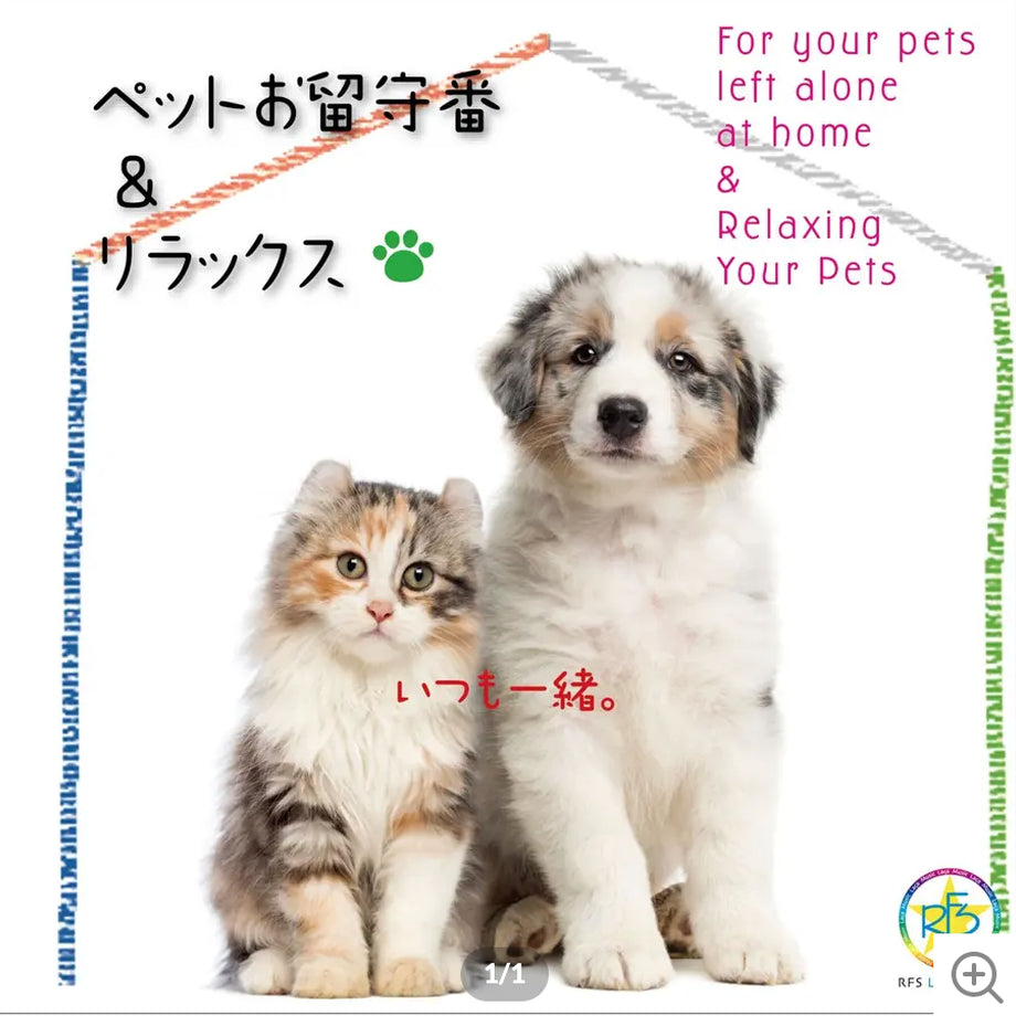 ペットお留守番&リラックス
